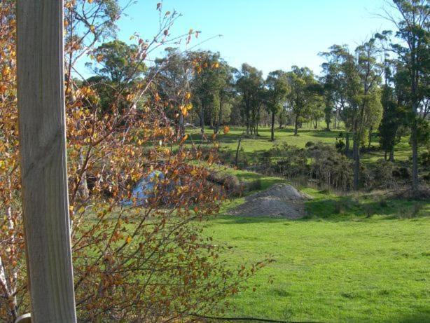 Platypus Park Country Retreat Villa Bridport Room photo